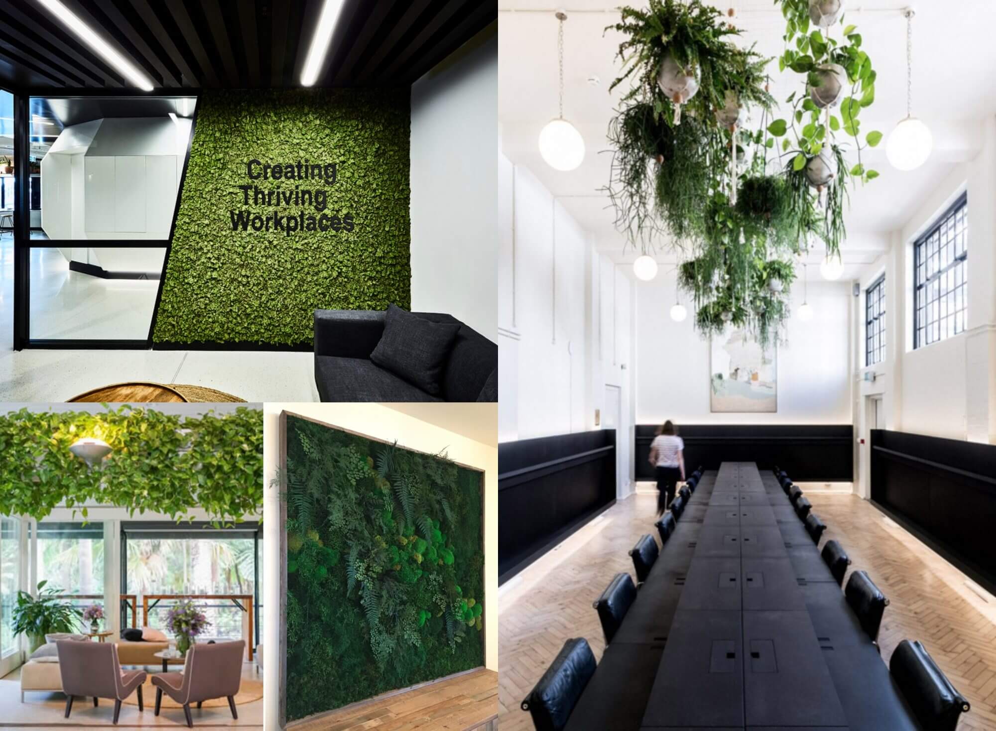 greenery in office design
