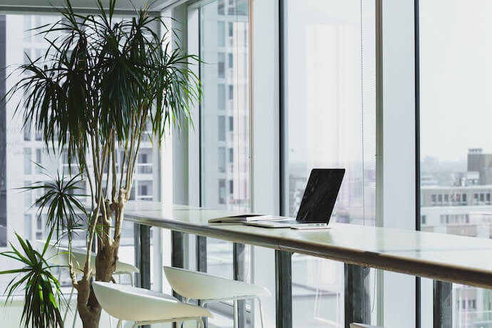 Plants within an office environment