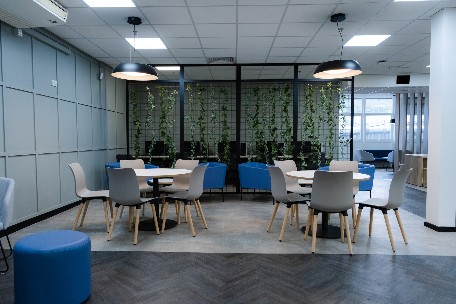 Canteen at Thornton & Ross, round tables and stacking chairs in front of a planted screen and upholstered acoustic wall panels